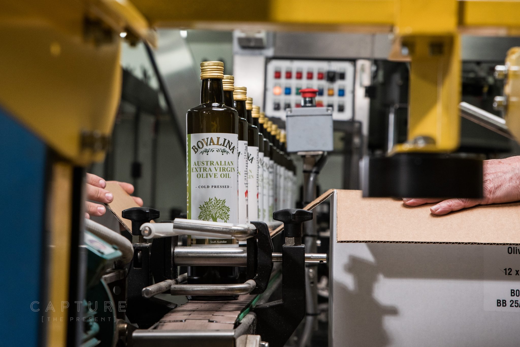 Bovalina olive oil bottles moving along the bottling line at Penfield Gardens