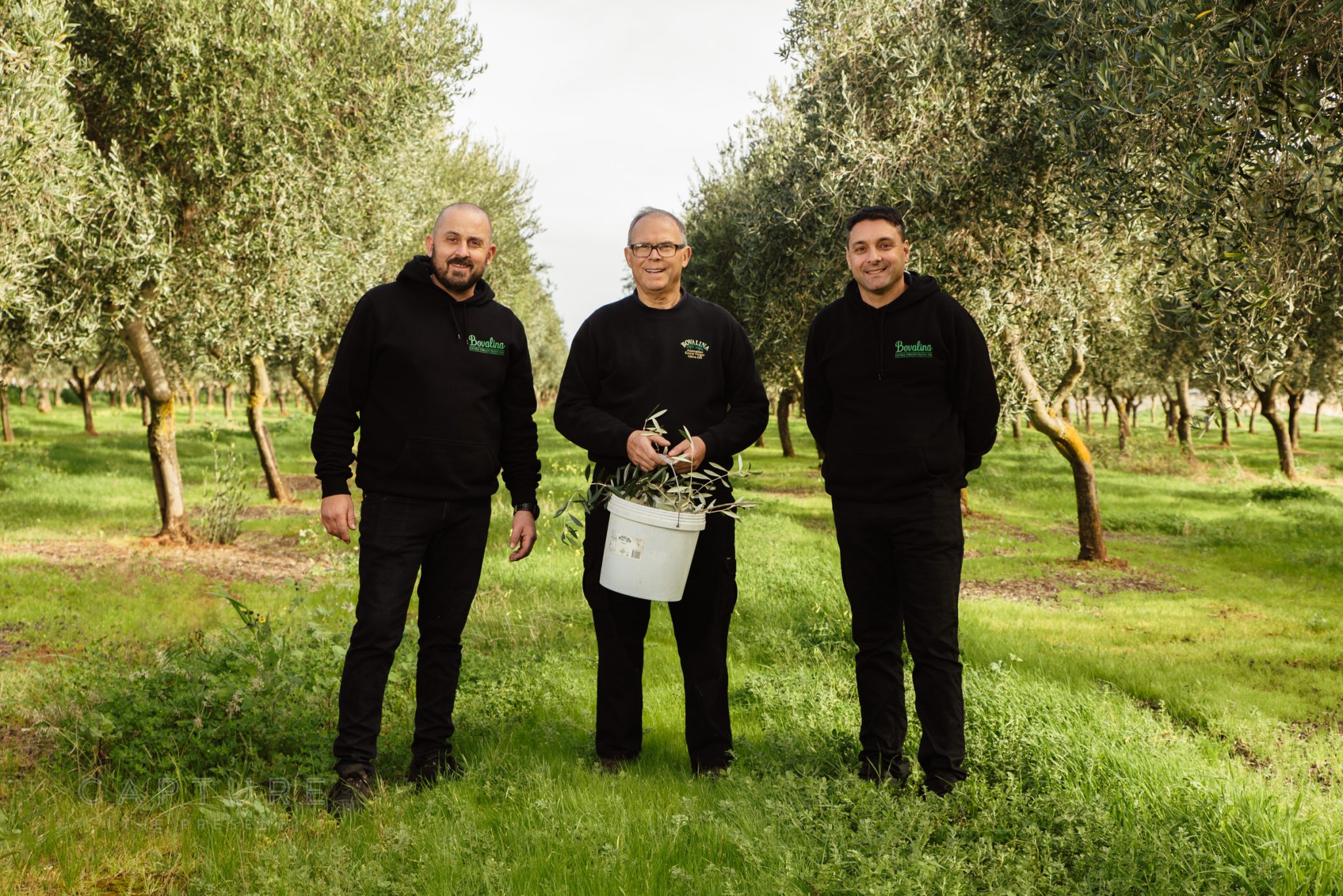 Carmine, Angelo and Anthony of Bovalina Olive Oil Group standing in their olive grove