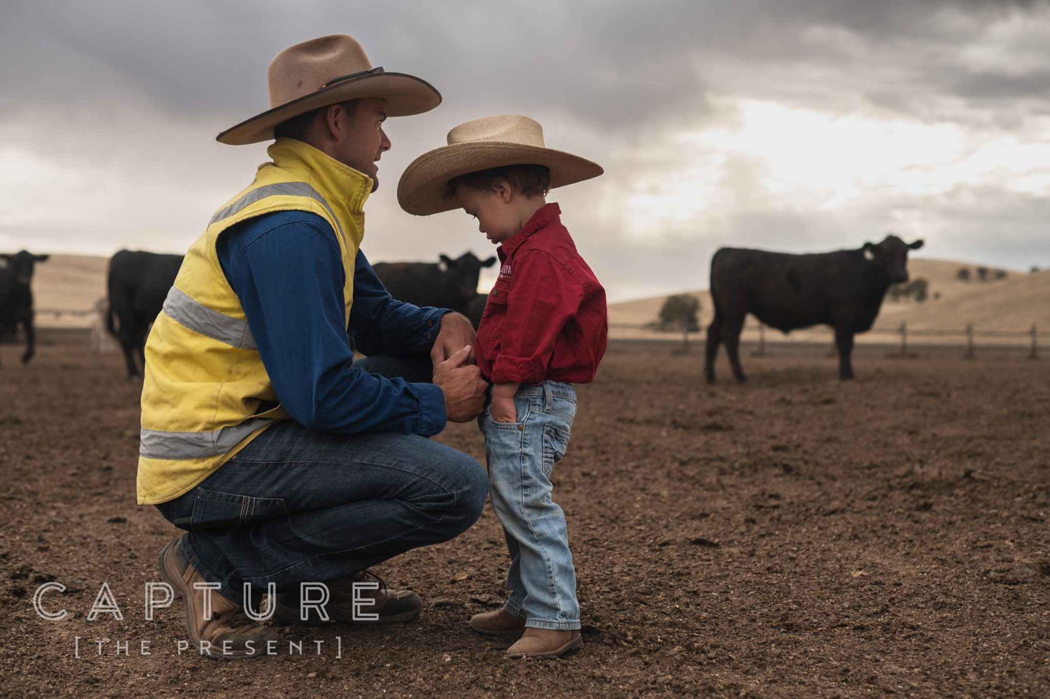 Farmer crouching with a young child among cattle in the yards at Princess Royal Station