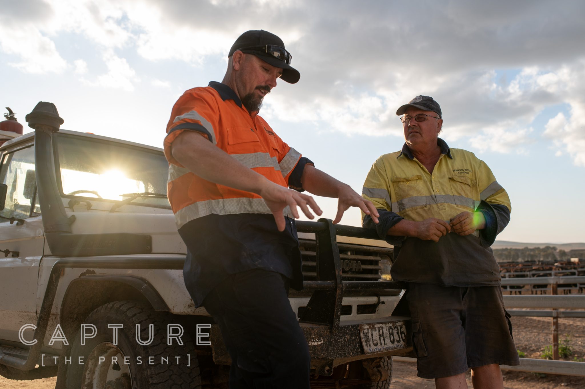 Two station workers talking at the front of a ute at sunset beside the feedlot